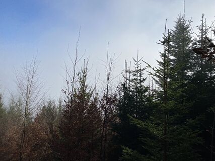 Foto de Tobias Mendl a lo largo del recorrido