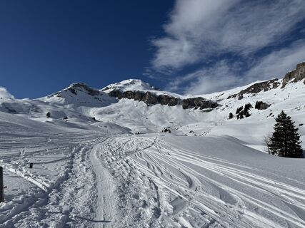 Foto från Thomas Freytag under resans gång