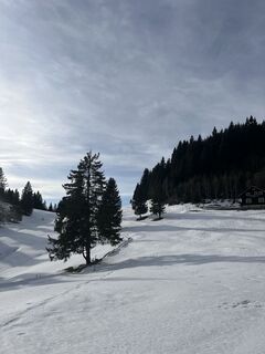 Foto von Aurelian Böhler entlang der Tour