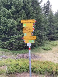 Photo de Marilena Locatelli le long du parcours