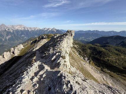 Photo de Natur_erleben_dg le long du parcours