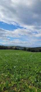 Photo de George50 le long du parcours