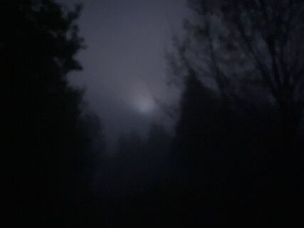Oben bei Nebel angekommen