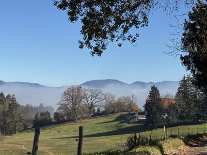 Foto de Denise Miller a lo largo del recorrido