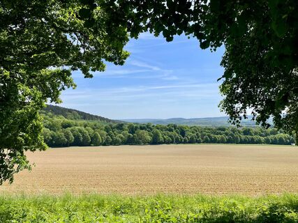Ausblick Hube_Verlängerung Eichendorfallee 