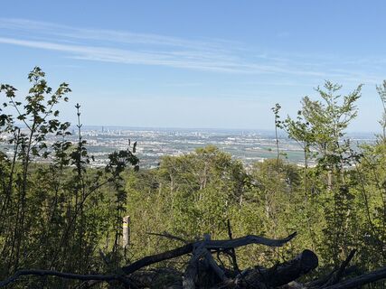 Photo de László Soós 2 le long du parcours