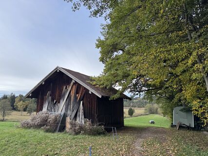 Foto von Denise Miller entlang der Tour