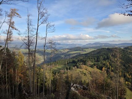 Foto von Timon Bertignoll entlang der Tour