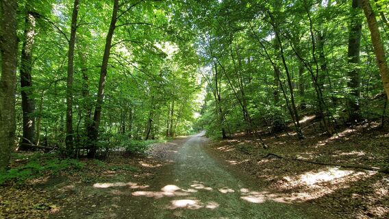 Foto von EP87 entlang der Tour