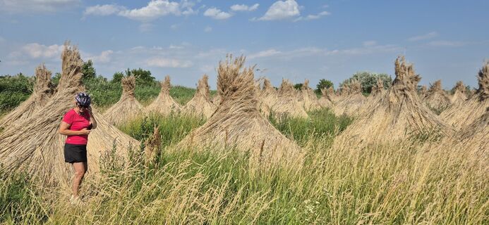 Foto fra Mandor60 undervejs på turen
