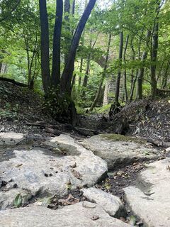 Foto von Krisztina Katonai entlang der Tour