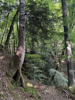 Zdjęcie z Alberto Ghiretti wzdłuż trasy