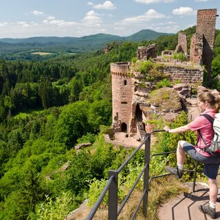 Burgengruppe Alt-Dahn