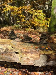 Foto fra Jacky undervejs på turen