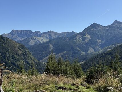 Foto von Stefanie Zopf entlang der Tour