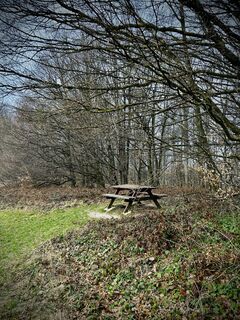 Foto de Kellner Heidi a lo largo del recorrido