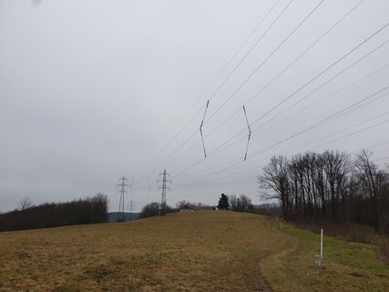 Zdjęcie z Georg B. Meier wzdłuż trasy
