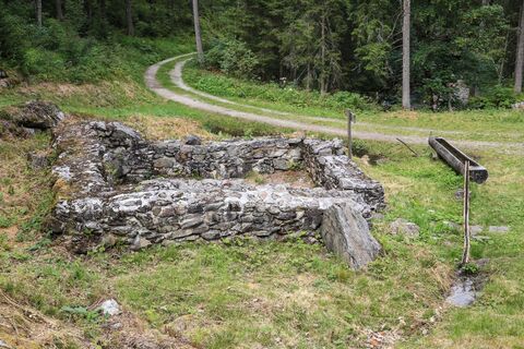 Ruine an der Schmelzofenrunde
