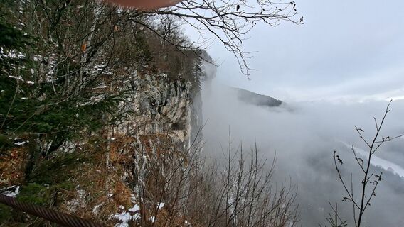 Fotografia z lisale1967 na trase