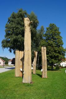 Symposiumbäume