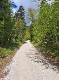 Fotografie z Christian Lerchster na trase