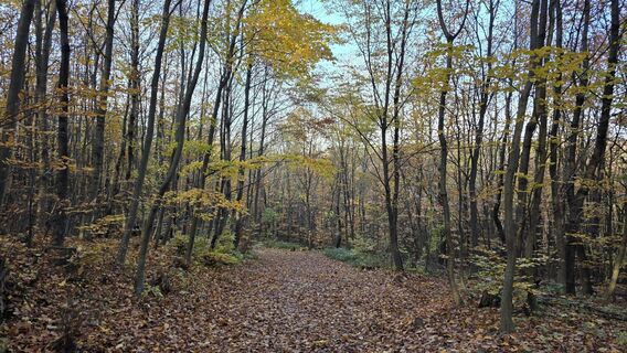 Foto von Hieu Duc Tram entlang der Tour