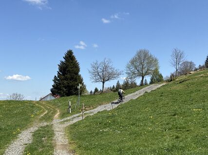 Foto von Similaun entlang der Tour