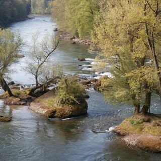 Stetten Reuss