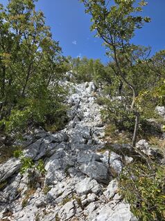 Foto fra Franz Schreiber underveis på turen