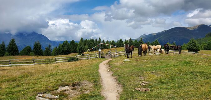 Foto von DHHille entlang der Tour