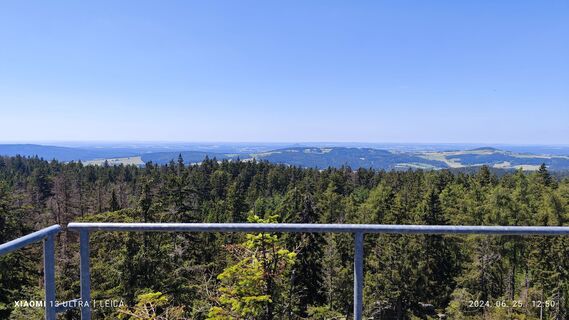 Foto da damilaja242 lungo il tour