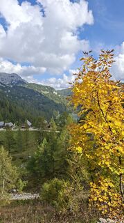 Foto von Fuchs Irene entlang der Tour
