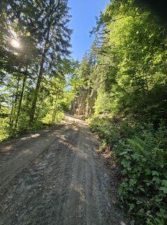 Foto von Guenter Schindler entlang der Tour