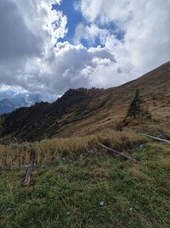 Photo from Franz Scholler 1 along the tour
