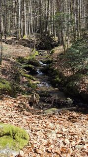 Photo de Stefan le long du parcours