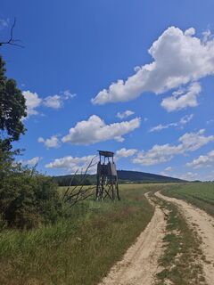 Fotografija s spletne strani Katona Ferk Mariann na poti