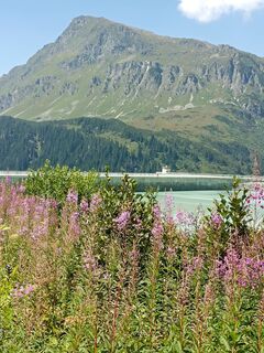 Foto fra Wilfried undervejs på turen