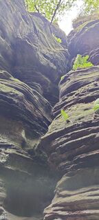 Fotografie z Gie van den eeckhaut na trase