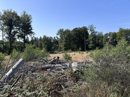 Fotografie z Momo na trase