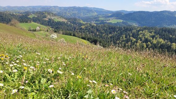 Fotografia z Juliane Jarke na trase