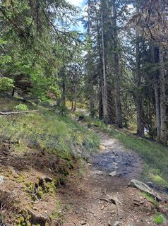 Fotografia z Greg+Lisa na trase