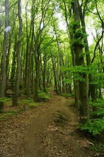 Fotó a Walter Köllner honlapról a túra során