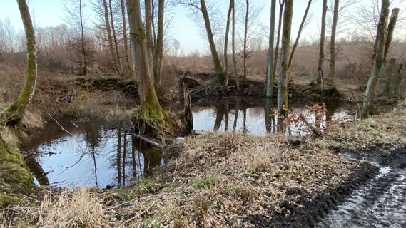 Fotografia z Rupert Hoeppe na trase