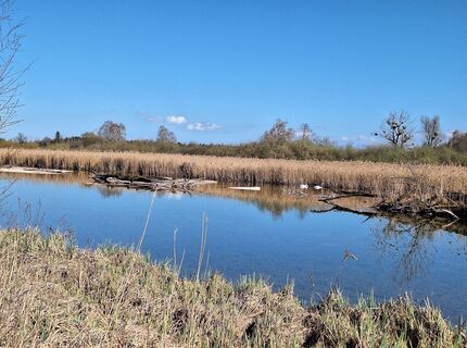 Photo from Günther Karrer along the tour