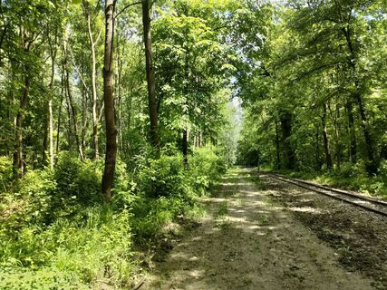 Foto de Annamária Bánki a lo largo del recorrido