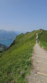 Fotografija s spletne strani Sandra Niewiadomska na poti