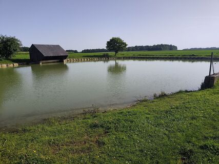 Zdjęcie z didgur wzdłuż trasy