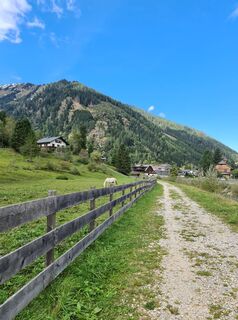 Photo de Nor Reiter le long du parcours
