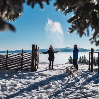 Wenn im Tal der Nebel liegt - Sonne tanken