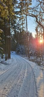 Foto de Deutsch Margit a lo largo del recorrido